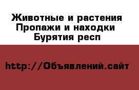 Животные и растения Пропажи и находки. Бурятия респ.